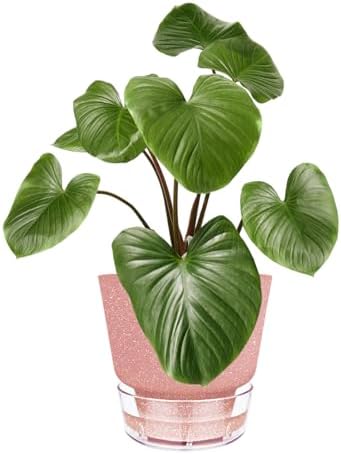 Self Watering Pots for Indoor Plants, with Visible Reservoir, 6 inch Plant Pot with Wick Rope Planter Pot for Indoor Outdoor Plants (Frosted Brick Red) - Image 2