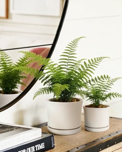 Ceramic Plant Pots, Set of 3, 4.3/5.6/6.9 Inch with Drainage - Image 2