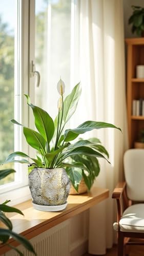 Oairse 6 +5 inch Ceramic Planter Pots Set of 2 Small Round Flower Pots with Drainage Hole and Ceramic Tray for Succulents Cactus Indoor Outdoor Garden Home Windowsill - Image 7