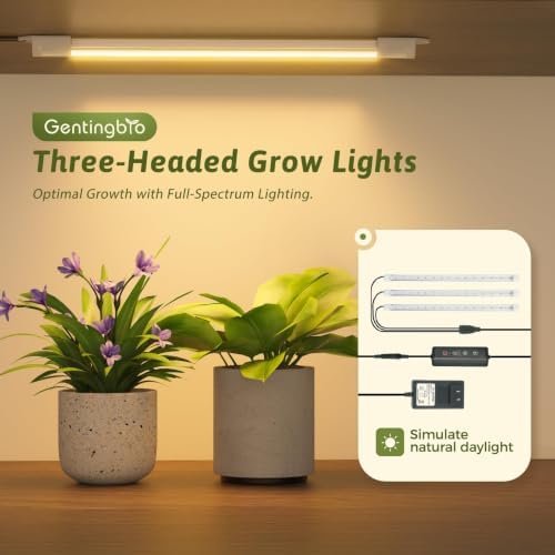 GENTINGBRO Plant Stand with Grow Lights for Indoor Plants 62.2'' Tall Plant Shelves - Image 3