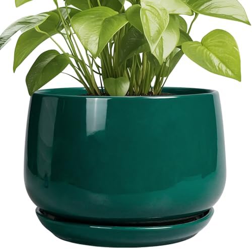 G EPGardening Ceramic Pots for Plants - 9 Inch Ceramic Planter for Indoor Plants, Round Planter with Drainage and Saucer, Modern Flower Pots for Outdoor, House Decor, Garden Gifts, Green by GEPGardening