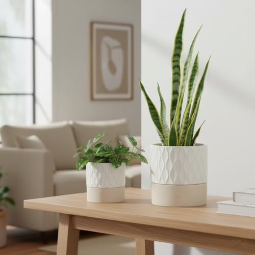 Nihow Ceramic Self Watering Plant Pot for Indoor Plants, 4.5+6 Inch - Image 5