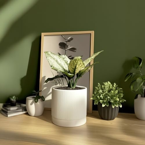 HERDUK 6 Inch Ceramic Plant Pot with Drainage & Saucer - Indoor Planter for Succulents, Cacti & Aloe Vera - Striped Design, High-Temp Fired Clay, Lightweight Modern Decor White - Image 5