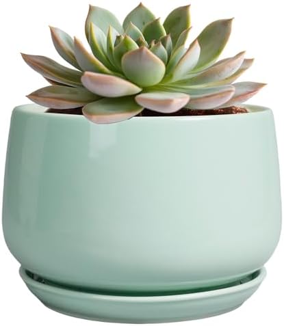G EPGardening Ceramic Plant Pots, 6 Inch Pot for Plants, Green by GEPGardening