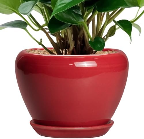 Ceramicfor 6 Inch Plant Pot - Glaze Modern Ceramic Planter for Indoor Plants, Succulent Pot with Drainage Hole and Saucer, Office Garden Home Decor, Housewarming Gift, Red by Ceramicfor