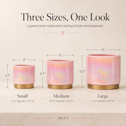 Gepege Ceramic Plant Pots for Indoor Plants, Planters with Drainage Holes - Image 6