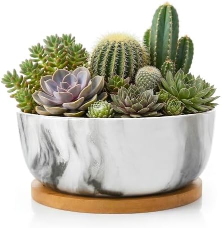 Pastel Marble Inspired 8 Inch Ceramic Succulent Planter with Drainage Hole & Bamboo Tray – Large Wide Round Pot Decorative for Indoor Plants, & Cactus by Unknown