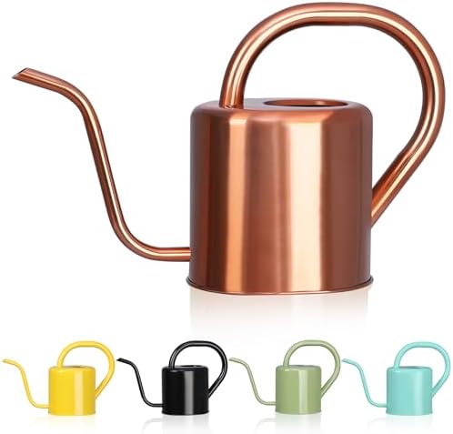 Watering Can, Stainless Steel Watering Can for Indoor & Outdoor Plants, 1L/35oz Long Spout Water Can with Handle, Rust-Proof Plant Watering Pot for House Plants, Garden Flowers by gegemaoyi