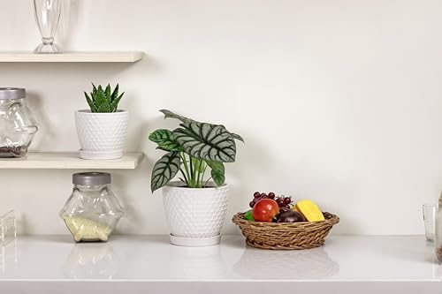 Docrin Ceramic Plant Pots Set of 2 (6.6"+5.5"), High-Fired Clay Indoor Planters with Drainage Holes & Saucer, Honeycomb Modern Home Decor for All House Plants - Image 6