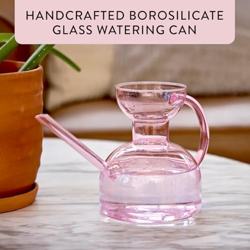 Modern Sprout Glass Watering Can - 32 oz - Long Spout Modern Decor (Blush) - Image 2