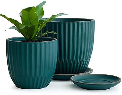 D'vine Dev 2-Pack Stoneware Planter Pots, 4.5/5.8 in, Deep Teal, 99-D-4 by DvineDevPlanterPotsandStand