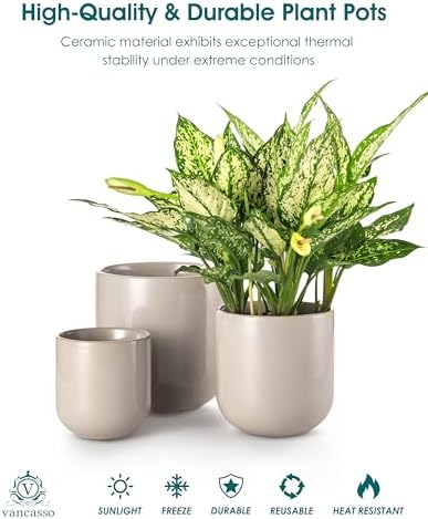 vancasso Ceramic Plant Pots, 4+5+6 inches, Set of 3, Planters with Drainage Hole, Flower Pots Planters Pots for Indoor Plants, Modern Indoor Decorative Garden Pot, Home Decor, Gray - Image 4