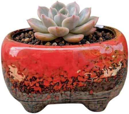 Cute 4.7 Inch Rectangle Ceramic Home Garden Decoration Succulent Cactus Flower Pots Container -Plant Not Included (Red) by SJBAG