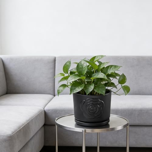 Ekirlin 7 Inch Plant Pots for Indoor Plants, Modern Ceramic Glaze Planters, Round Flower Planter Pot with Drainage Hole and Saucer, Snake Plant Pot for Succulent, Orchid, Pothos,Gift for Plant, Black - Image 3