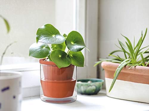 D'vine Dev Self Watering Terracotta Planter Pot, 4 in, 3-Pack, 37-Z-A-1-T - Image 6