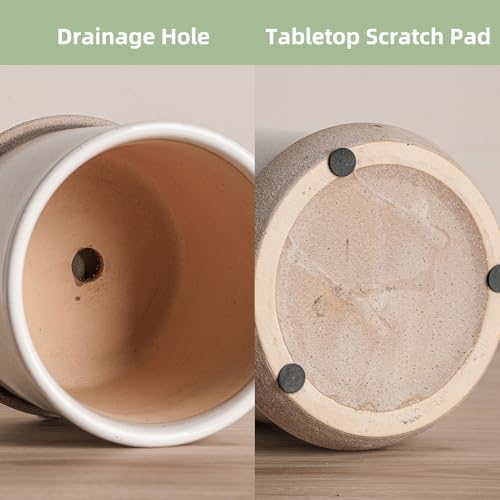 5.8 Inch Ceramic Planter with Drainage Hole & Bonded Saucer - Image 4