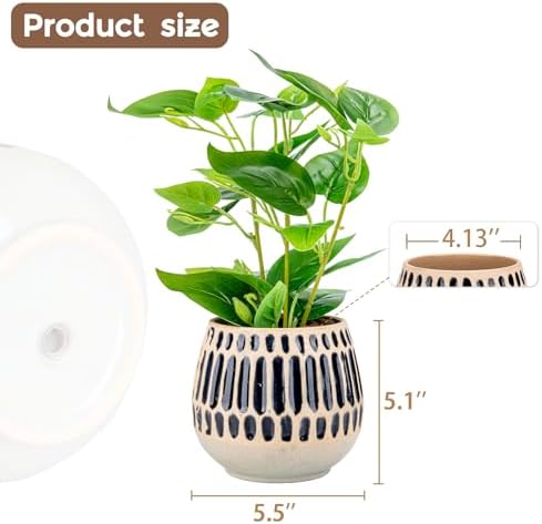 Ceramic Planter 5 Inch Succulent Flower Pot with Blue Stripe - Image 4