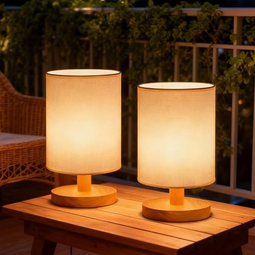Small Table Lamp Set of 2, Bedside Lamp Nightstand Lamp, 3000K Warm Light Desk Lamp, USB Powered LED Reading Lamp, Boho Vintage Small Lamp for Bedroom Living Room Office Dorm Dresser by ThelightofBuroraix