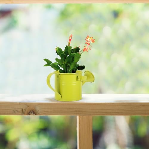Mini Watering Can for Plants Indoor Outdoor, Decorative Metal Flower Watering Pail with Handle, Long Spout Small Spray Pot for Succulent Gardening - Image 4