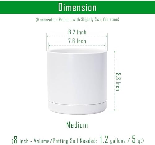 D'vine Dev 8.2 Inch Ceramic Planter Pot, White, 94-O-D-1 - Image 3