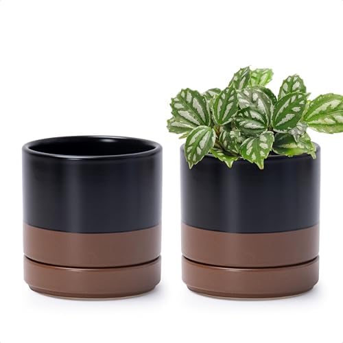 D'vine Dev 2-Pack Ceramic Pots with Saucers, Black/Tan, 4.7 in, 94-V-B-7 by DvineDevPlanterPotsandStand