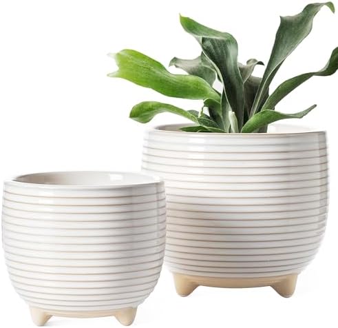 LE TAUCI Ceramic Plant Pots, 5.1 + 6.4 Inch Footed Pots for Plants, Modern Flower Pots for Home and Office, Indoor Planters with Drainage, Reactive Glaze White by LETAUCI