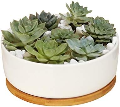 LANKER 6.3 Inch Round White Ceramic Succulent Planter Pot with Bamboo Tray by LANKER