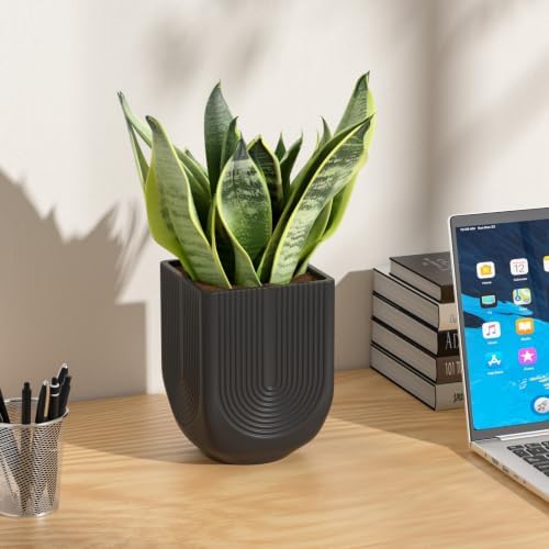 Ceramic Planter, 6 Inch Square Plant Pot with Drainage, Matte Black - Image 2