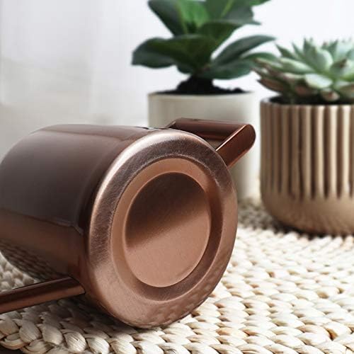Mini Watering Can, 10oz/300ml Stainless Steel Long Spout Small Watering Can for Indoor Plants Succulents, Herbs (Bronze) - Image 6