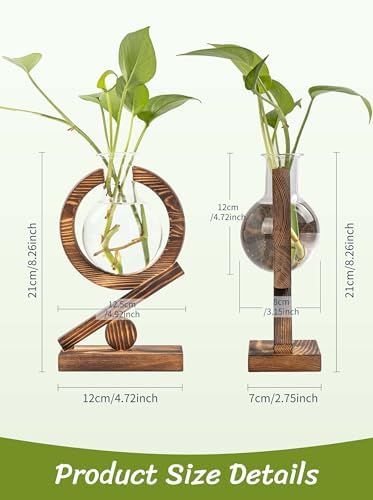 Glass Plant Propagation Station with Wooden Stand, Natural Wood - Image 2