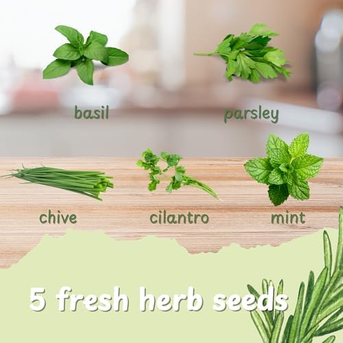 Herb Indoor Garden Kit- Unique Chrismas Herb Gardening Gift, Home Kitchen Gift for Mom, Friends, and Gardeners (Basil, Parsley, Chives, Cilantro, Mint) - Image 3