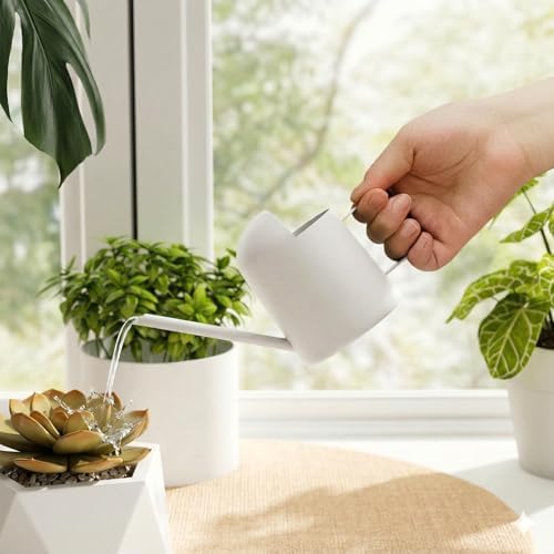 Bamworld Small Watering Can Indoor Outdoor Plant Metal Stainless Steel Long Spoutt Flowers Watering Cans for House Garden Plants 10OZ Watering Bottle Cute Stylish Gardening Decoration(Matte White) by Bamworld