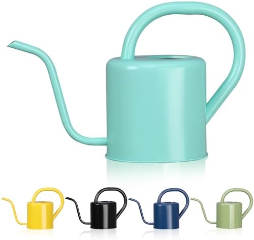 Watering Can, Stainless Steel Watering Can for Indoor & Outdoor Plants, 1L/35oz Long Spout Water Can with Handle, Rust-Proof Plant Watering Pot for House Plants, Garden Flowers by gegemaoyi