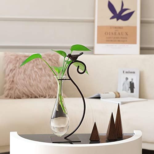 Marbrasse Desktop Glass Planter Hydroponics Vase,Planter Bulb Vase with Holder for Home Decoration,Modern Creative Bird Plant Terrarium Stand, Scindapsus Container (Water Drop Vase) - Image 2