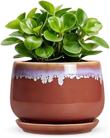 Ceramic Plant Pot - 6 Inch Planters for Indoor Plants, Round Ceramic Planter with Drainage Hole and Saucer, Decorative Small Plant Pots, Room Bookshelf Decor, Red-Purple by Fivepot