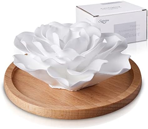 Passive Essential Oil Diffuser,Aromatherapy Passive Mini Ceramic Essential Oil Small Diffuser for Desk Office Home Gift (Roses) by Wehopethateverychoiceyoumakeisbecauseyoulikeit