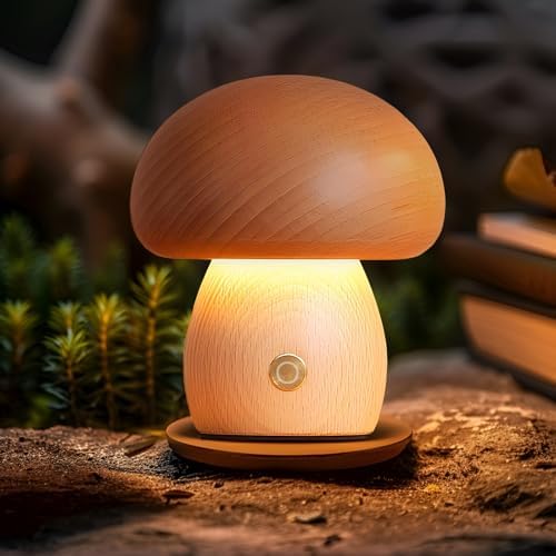 LONRISWAY Portable Cordless Rechargeable Battery Operated Lamp,Stepless Dimming, Small Table Lamp Portable Night Light, Dimmable Touch Control Warm LED Light for Bedroom, Nursery, Patio Decor by LONRISWAY