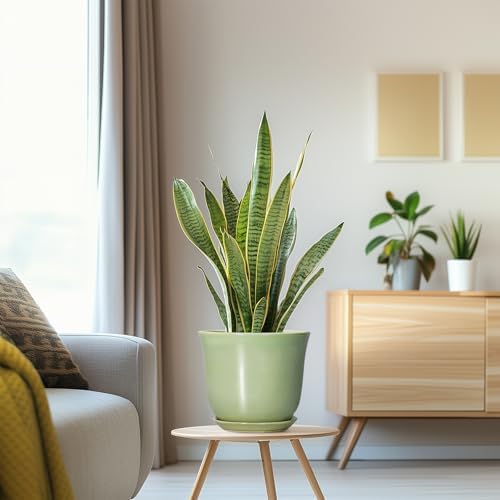 Ceramic Flower Pots - 8 Inch Plant Pot Drainage Hole and Saucer, Round Plant Pot with for Indoor Outdoor, Modern Planter, Decorative Planter, Home Porch Room Decor, Housewarming Gift, Green - Image 5
