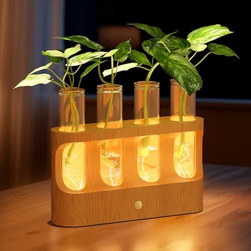 Lightalent Rechargeable Plant Propagation Station, LED Hydroponic Terrarium by LIGHTALENT