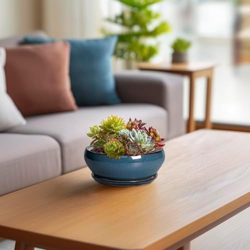 SQOWL Succulent Pots - 6 Inch Ceramic Bonsai Pots, Shallow Planter with Drainage Hole and Saucer, Modern Round Planter for Indoor Plants Outdoor, Flower Cactus Pot, Home Decor, Plant Lover Gift, Blue - Image 6