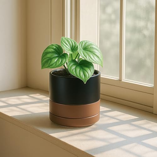 D'vine Dev 2-Pack Ceramic Pots with Saucers, Black/Tan, 4.7 in, 94-V-B-7 - Image 6