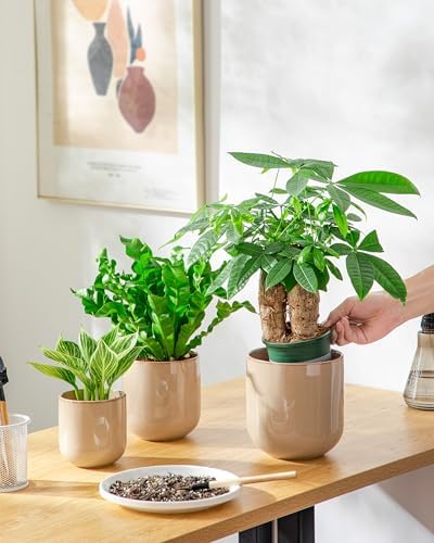 vancasso Ceramic Plant Pots, 4+5+6 inches, Set of 3, Planters with Drainage Hole, Flower Pots Planters Pots for Indoor Plants, Modern Indoor Decorative Garden Pot, Home Decor, Brown - Image 6