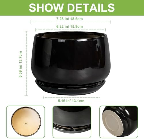 G EPGardening Ceramic Planter 7 Inch, Ceramic Pot for Plants, Black - Image 3