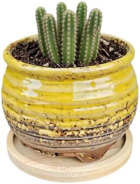 3.5 Inch Ceramic Succulent Planter Pot with Drainage Hole & Bamboo Tray - Mini Round Small Plant Pot for Indoor Desktop, Cactus Flower Container (Plant and Soil Not Included)，Yellow by SJBAG