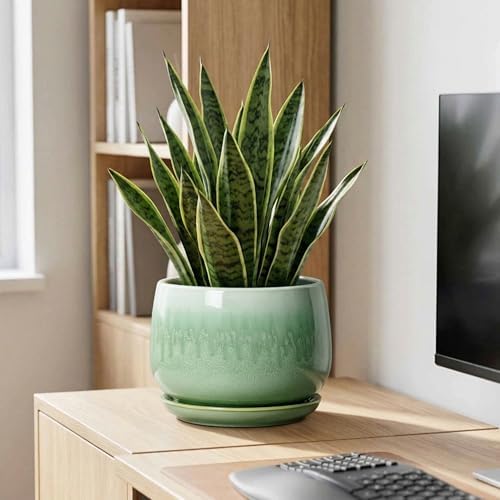 9 Inch Plant Pot - Ceramic Planter with Drainage Hole and Saucer, Decorative Ceramic Pots for Indoor Plants, Round Durable Flower Pot, Office House Patio Decor, Gifts for Plant Lovers, Green - Image 7