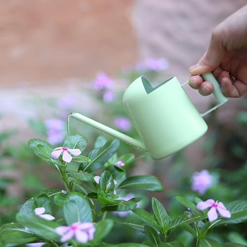 Mini Watering Can, 10oz/300ml Stainless Steel Long Spout Small Watering Can for Indoor Plants Succulents, Herbs (Green) - Image 4