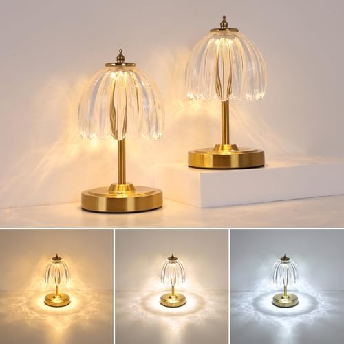 Shenmoyl Set of 2 Tulip Table Lamp with 5200mAh Battery & Touch Control, Cordless Small Table Lamp with 3 Colors, Rechargeable Battery Operated Table Lamps for Nightstand, Bedroom (Transparent Tulip) by Shenmoyl