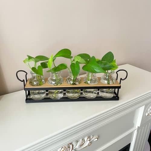 Plant Propagation Station with 5 Glass Jars, Retro Hydroponic Planter Vase - Image 3