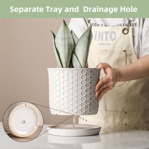 8 Inch Ceramic Plant Pot with Drainage Hole & Separate Saucer - Image 3
