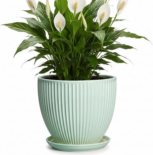 Ceramic Plant Pot, 8 Inch Flower Pots with Saucer, Mint Green by Unknown